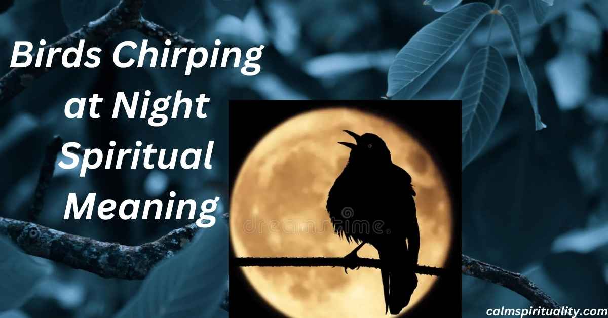 Birds Chirping at Night Spiritual Meaning-Calm Spirituality