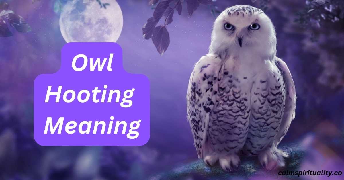 Owl Hooting Meaning Symbolic & Spiritual Interpretations