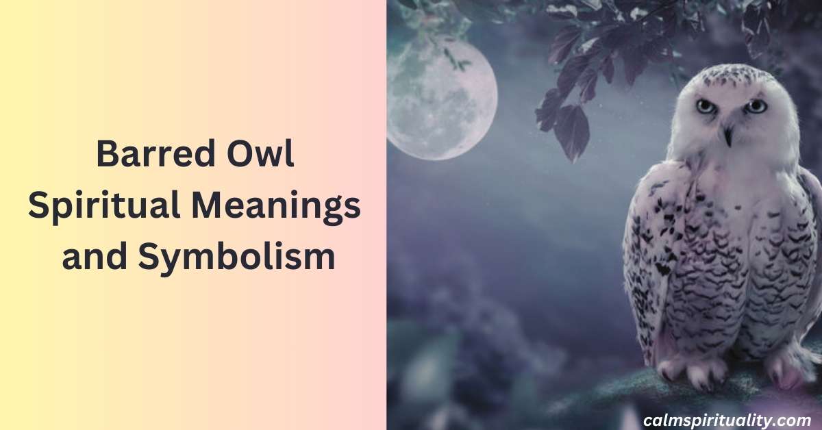 Barred Owl Spiritual Meanings and Symbolism - Calm Spirituality
