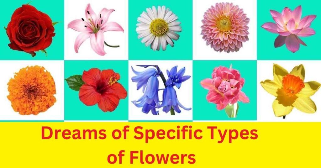 Dreams of Specific Types of Flowers