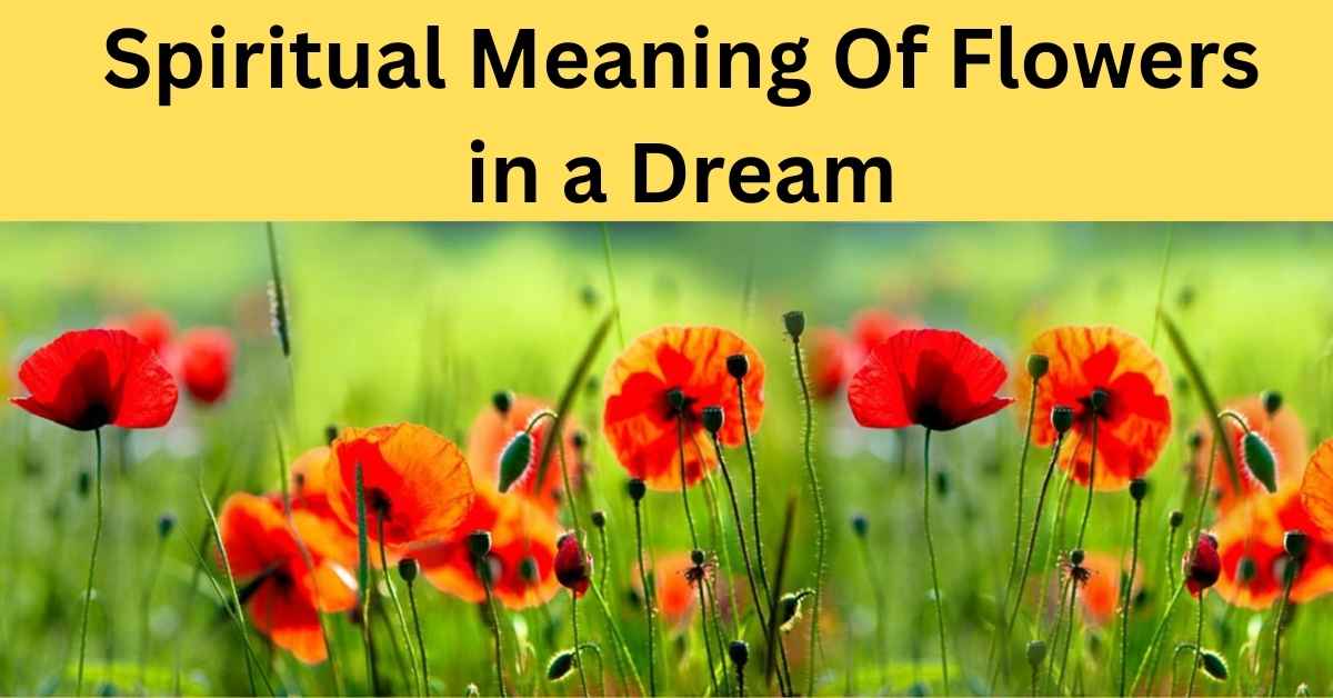 Spiritual Meaning Of Flowers in a Dream