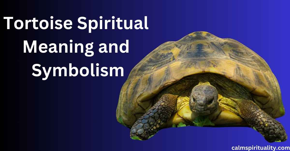Tortoise Spiritual Meaning and Symbolism