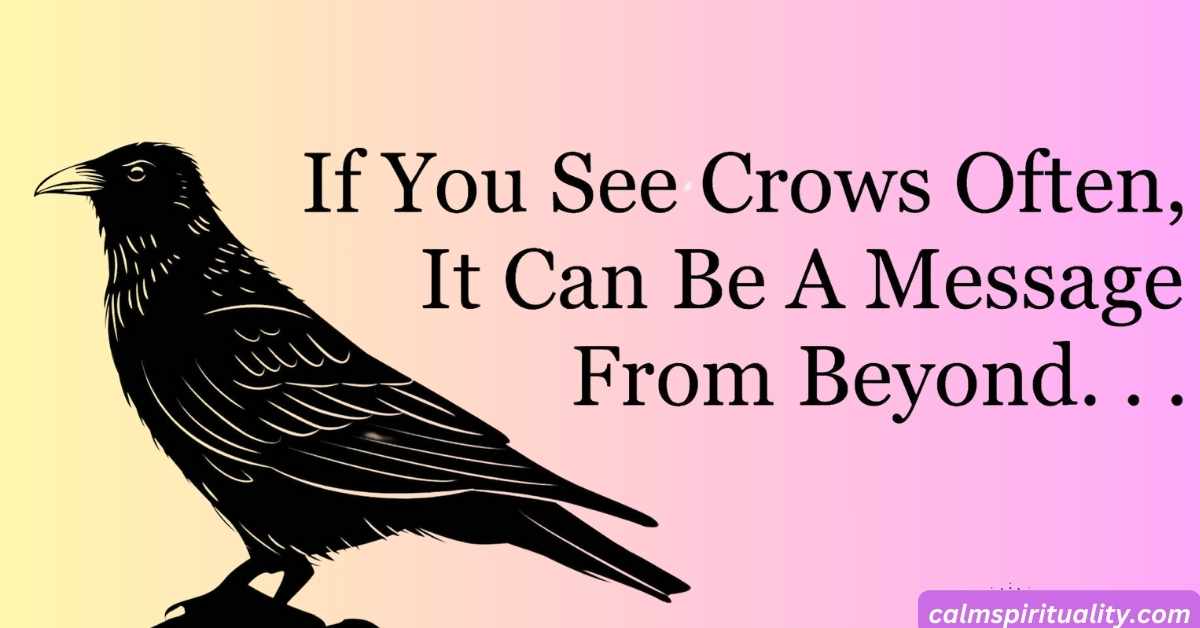 What Does Hearing Crows Mean Spiritually Exploring the Hidden Messages