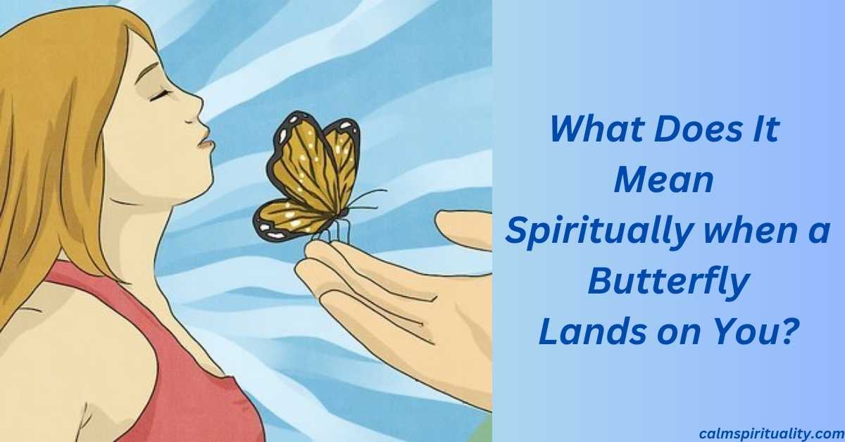 What Does It Mean Spiritually when a Butterfly Lands on You