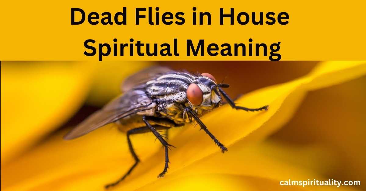 Dead Flies in House Spiritual Meaning - Calm Spirituality