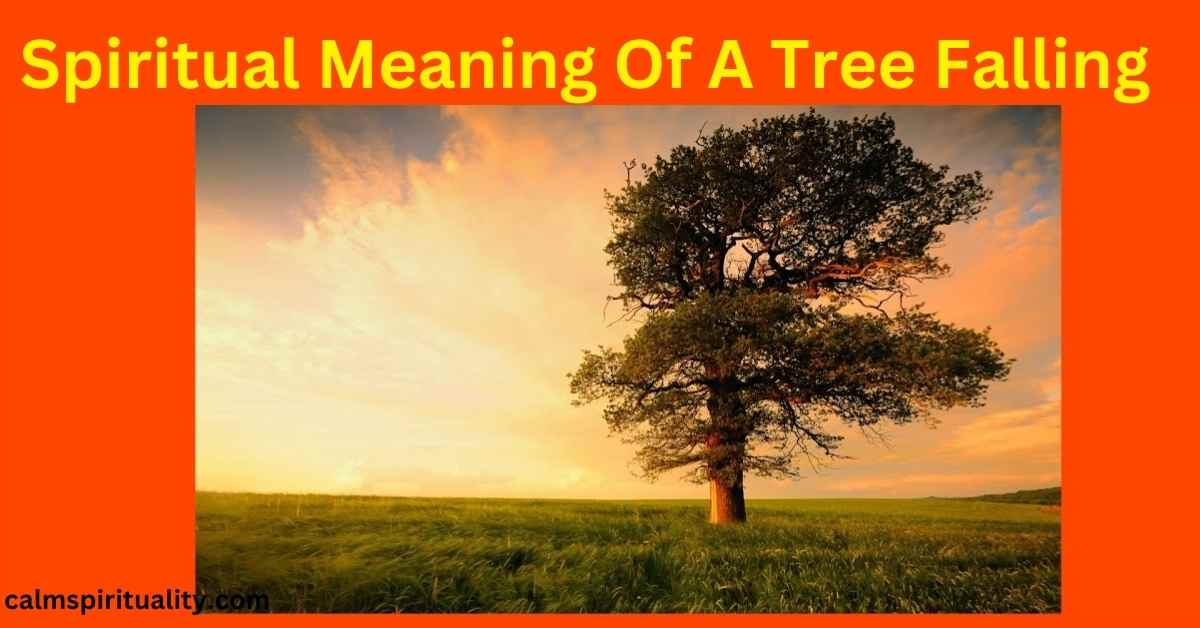 Spiritual Meaning Of A Tree Falling And Symbolism - Calm Spirituality
