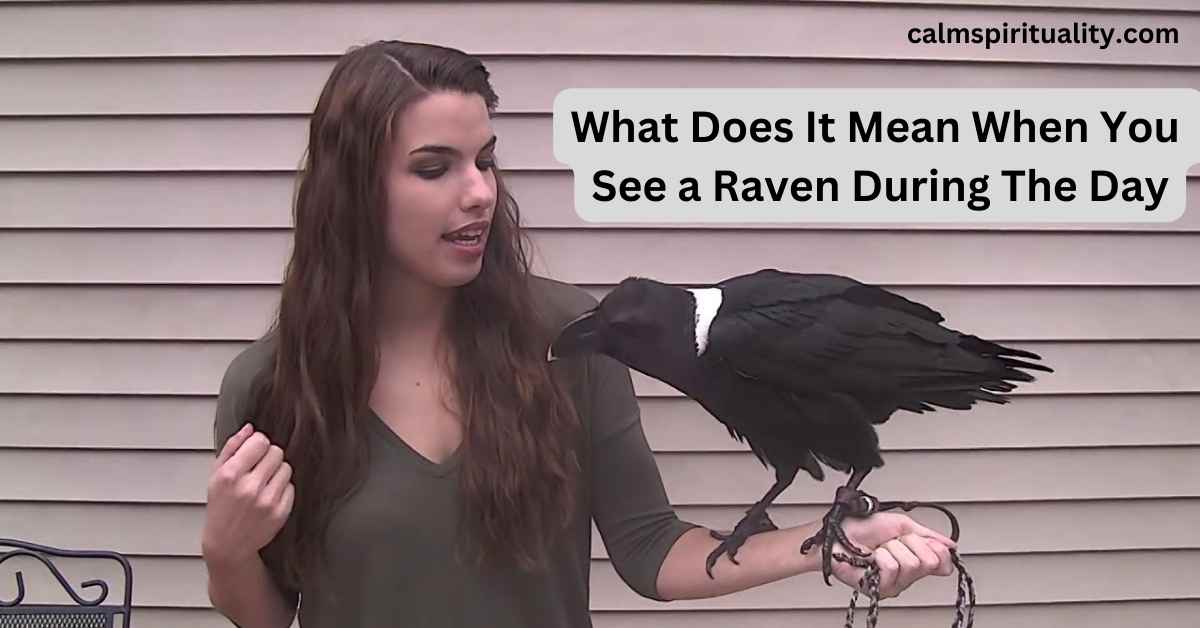 What Does It Mean When You See a Raven During The Day