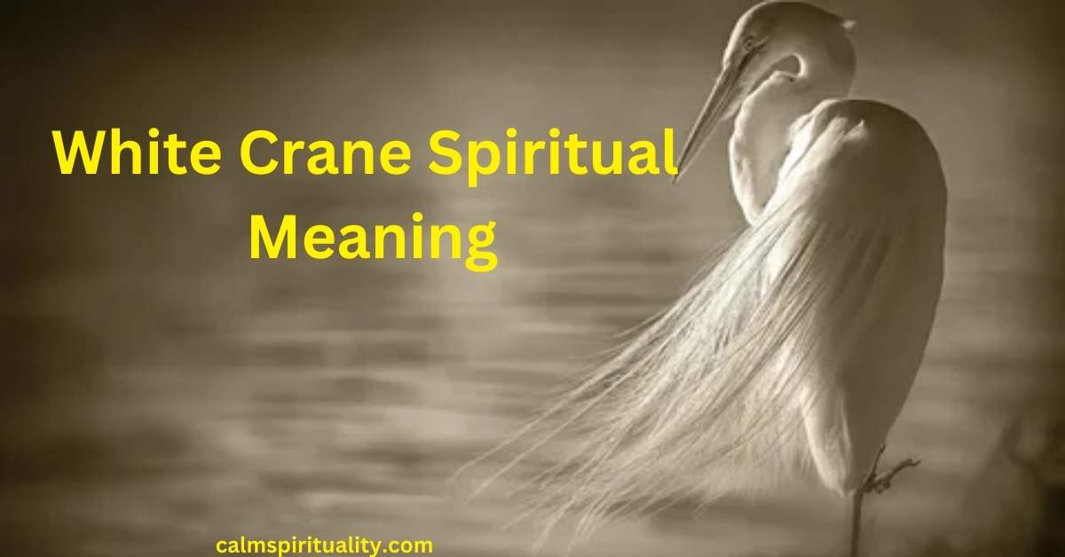 White Crane Spiritual Meaning Embracing Purity and Transformation