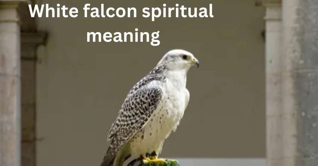 White falcon spiritual meaning
