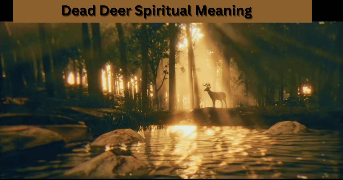Dead Deer Spiritual Meaning
