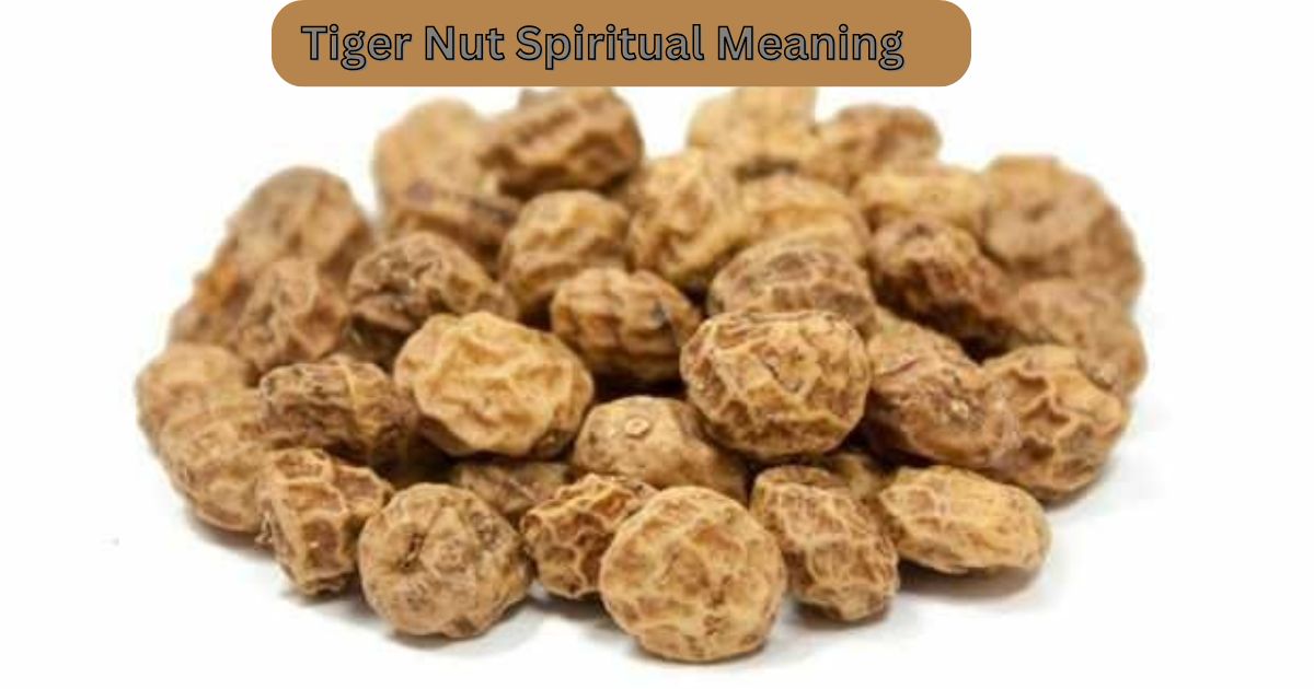 Tiger Nut Spiritual Meaning